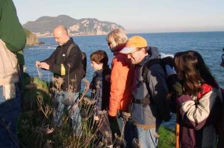 visitas-ecosistemas-laredo