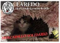 MERCADILLO SOLIDARIO A.D.A. CANTABRIA @ C/ Menéndez Pelayo.