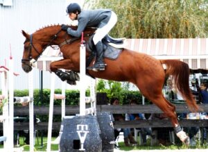 CONCURSO NACIONAL DE SALTO ESPECIAL “LAREDO HORSE & FUN WEEK” @ Centro Hípico Laredo