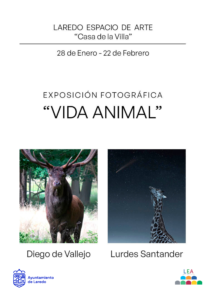EXPOSICIÓN DE FOTOGRAFÍA “VIDA ANIMAL” @ LAREDO ESPACIO DE ARTE “CASA DE LA VILLA” 
